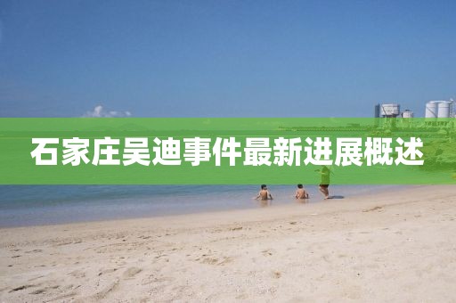 石家庄吴迪事件最新进展概述