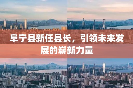 阜宁县新任县长，引领未来发展的崭新力量
