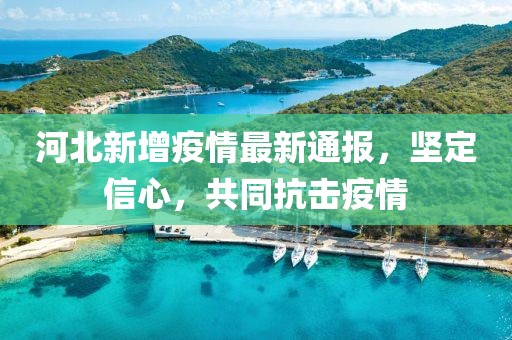 河北新增疫情最新通报，坚定信心，共同抗击疫情