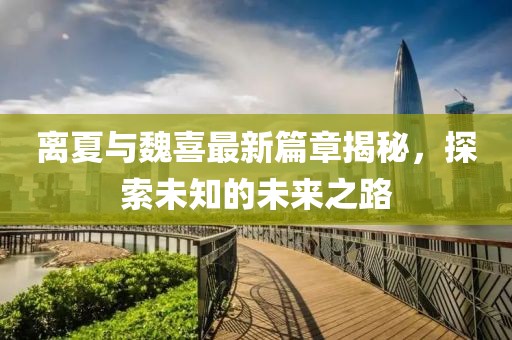 离夏与魏喜最新篇章揭秘，探索未知的未来之路