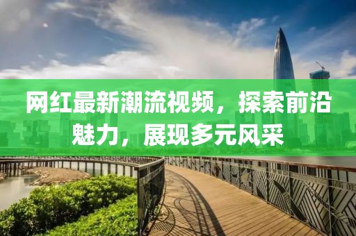 网红最新潮流视频，探索前沿魅力，展现多元风采
