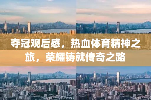 夺冠观后感，热血体育精神之旅，荣耀铸就传奇之路