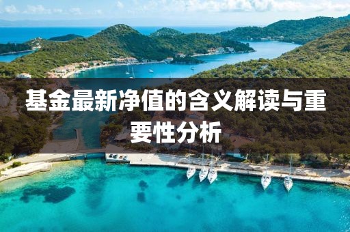 基金最新净值的含义解读与重要性分析