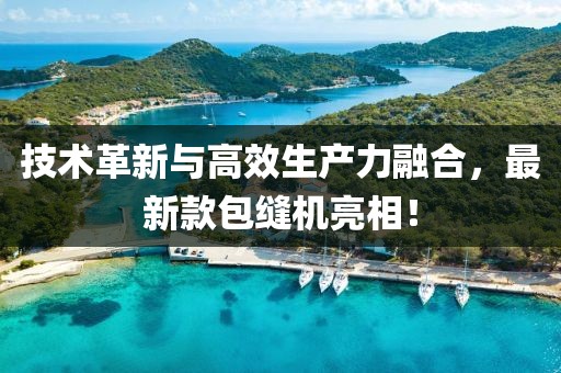 技术革新与高效生产力融合，最新款包缝机亮相！