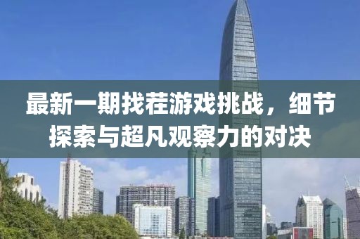 最新一期找茬游戏挑战，细节探索与超凡观察力的对决