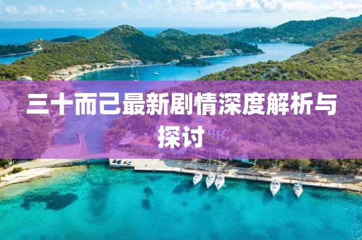三十而己最新剧情深度解析与探讨