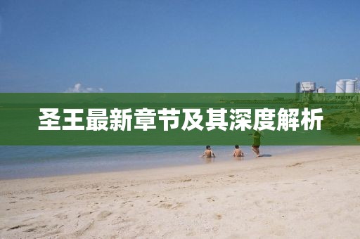 圣王最新章节及其深度解析