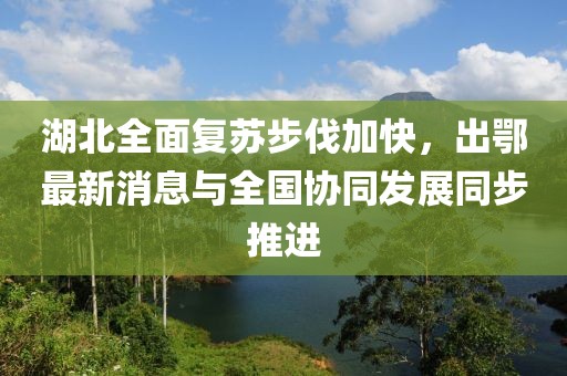湖北全面复苏步伐加快，出鄂最新消息与全国协同发展同步推进