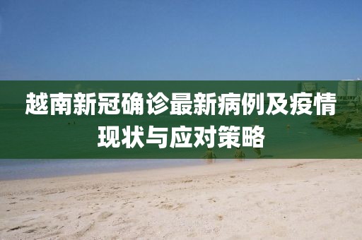 越南新冠确诊最新病例及疫情现状与应对策略