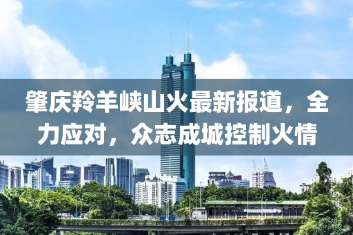 肇庆羚羊峡山火最新报道，全力应对，众志成城控制火情
