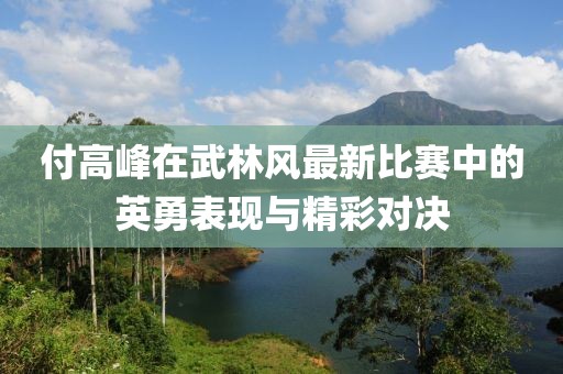 付高峰在武林风最新比赛中的英勇表现与精彩对决
