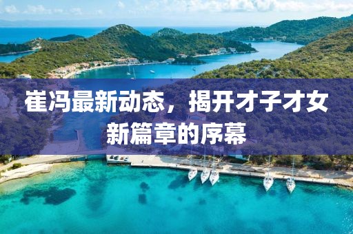 崔冯最新动态，揭开才子才女新篇章的序幕