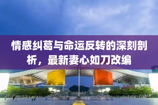 情感纠葛与命运反转的深刻剖析，最新妻心如刀改编