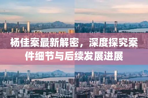 杨佳案最新解密，深度探究案件细节与后续发展进展