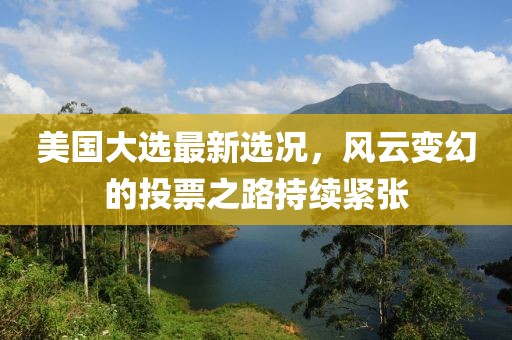 美国大选最新选况，风云变幻的投票之路持续紧张