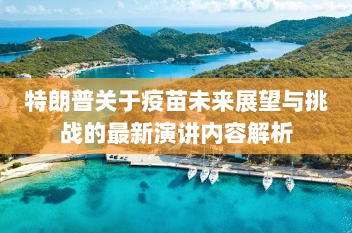 特朗普关于疫苗未来展望与挑战的最新演讲内容解析