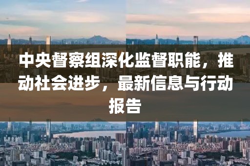 中央督察组深化监督职能，推动社会进步，最新信息与行动报告