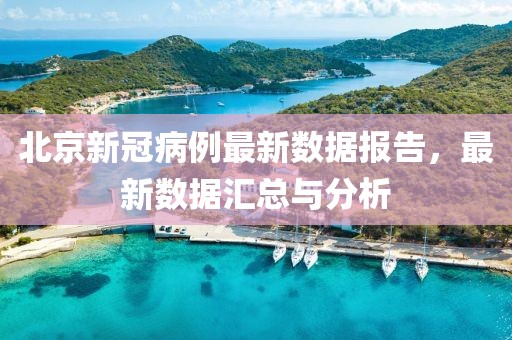 北京新冠病例最新数据报告，最新数据汇总与分析