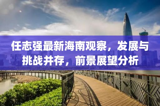 任志强最新海南观察，发展与挑战并存，前景展望分析