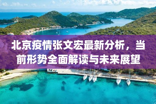北京疫情张文宏最新分析，当前形势全面解读与未来展望