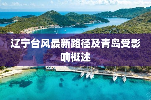 辽宁台风最新路径及青岛受影响概述