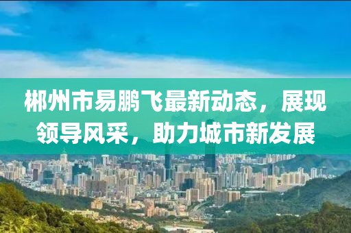 郴州市易鹏飞最新动态，展现领导风采，助力城市新发展