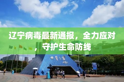 辽宁病毒最新通报，全力应对，守护生命防线
