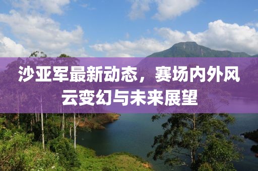 沙亚军最新动态，赛场内外风云变幻与未来展望