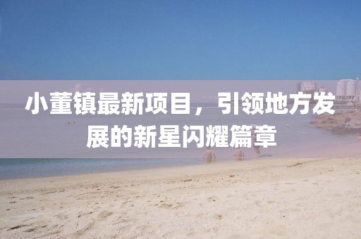 小董镇最新项目，引领地方发展的新星闪耀篇章