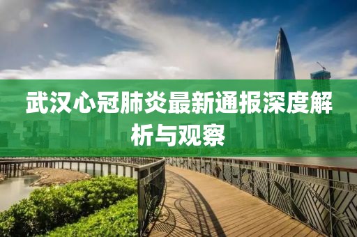 武汉心冠肺炎最新通报深度解析与观察