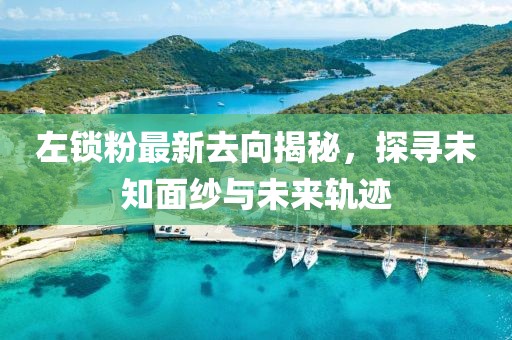 左锁粉最新去向揭秘，探寻未知面纱与未来轨迹