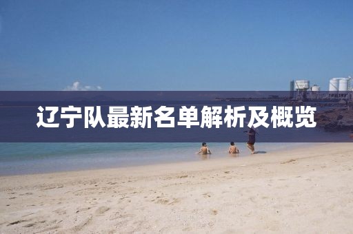 辽宁队最新名单解析及概览