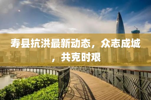 寿县抗洪最新动态，众志成城，共克时艰