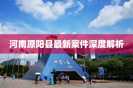 河南原阳县最新案件深度解析