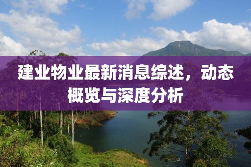 建业物业最新消息综述，动态概览与深度分析