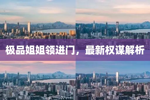 极品姐姐领进门，最新权谋解析
