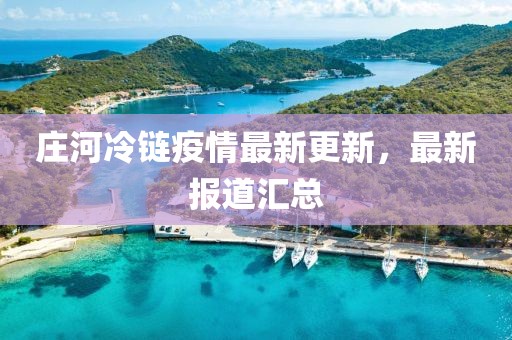 庄河冷链疫情最新更新，最新报道汇总