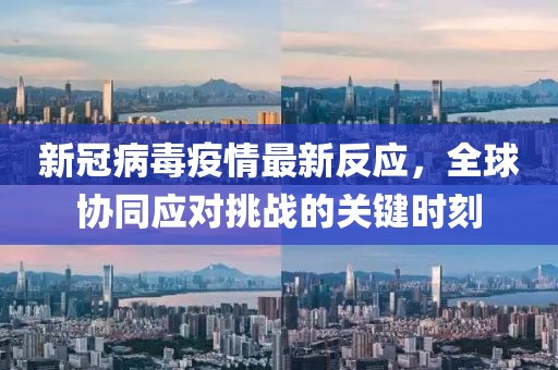 新冠病毒疫情最新反应，全球协同应对挑战的关键时刻