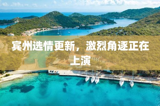 田南 第8页