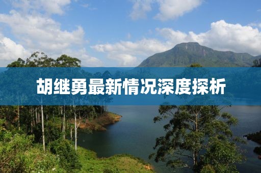 胡继勇最新情况深度探析