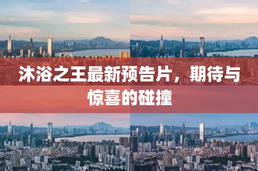 豆运骏 第6页