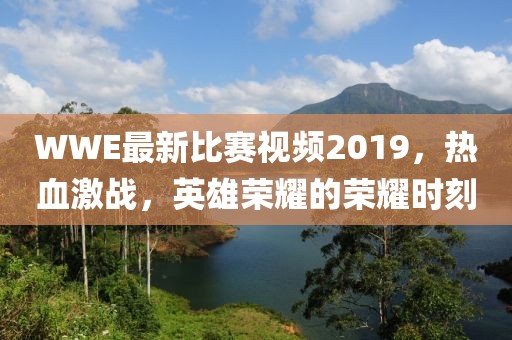 WWE最新比赛视频2019，热血激战，英雄荣耀的荣耀时刻