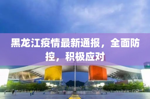 黑龙江疫情最新通报，全面防控，积极应对
