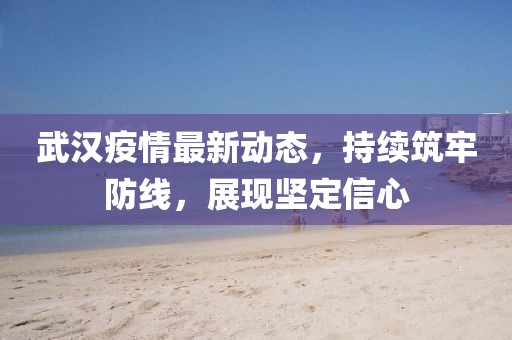 武汉疫情最新动态，持续筑牢防线，展现坚定信心