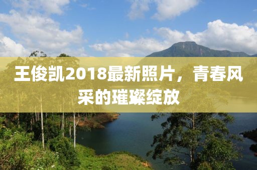 王俊凯2018最新照片，青春风采的璀璨绽放