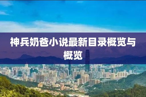神兵奶爸小说最新目录概览与概览