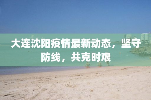 大连沈阳疫情最新动态，坚守防线，共克时艰