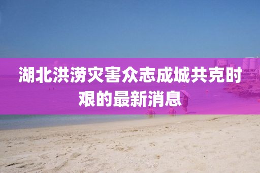 湖北洪涝灾害众志成城共克时艰的最新消息