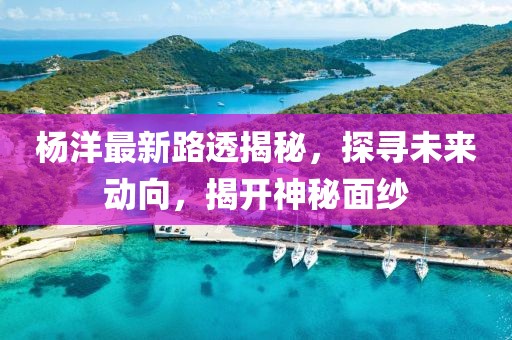 杨洋最新路透揭秘，探寻未来动向，揭开神秘面纱