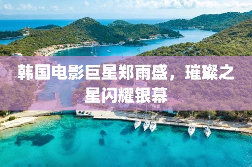 韩国电影巨星郑雨盛，璀璨之星闪耀银幕